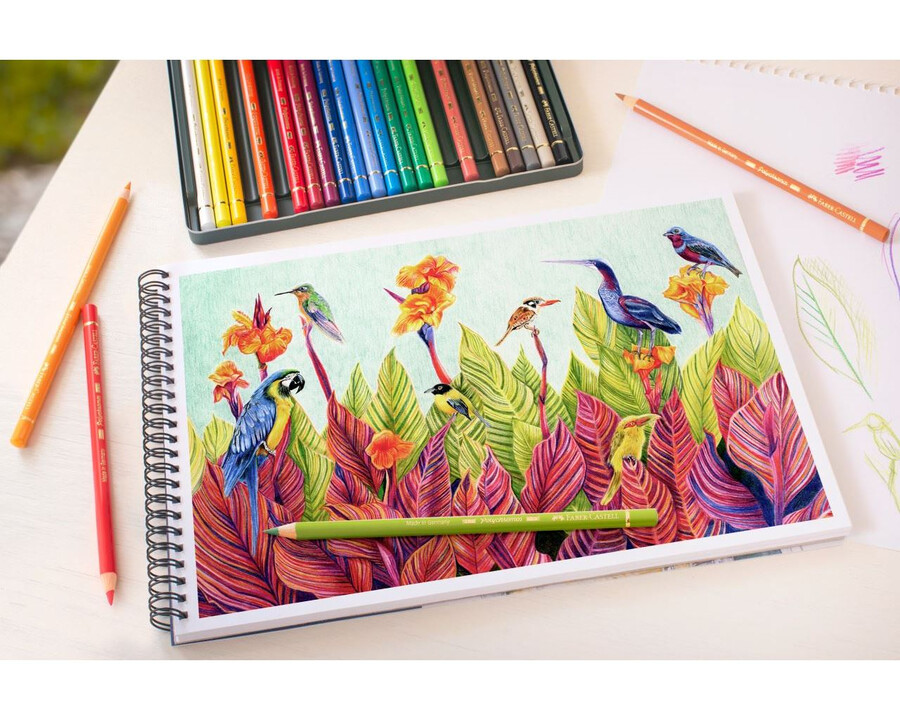 polychromos colour pencil