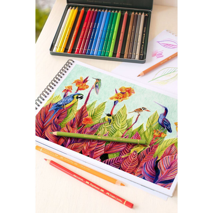 polychromos colour pencil
