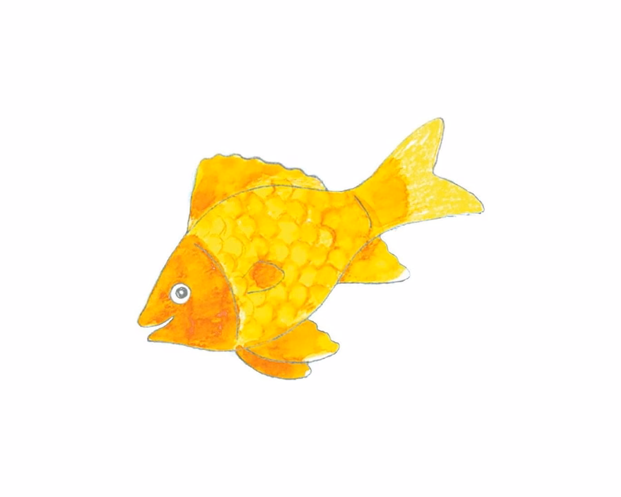 Jumbo Grip Colour Pencil