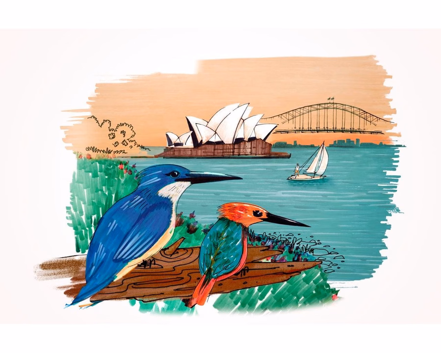 Pitt Artist Pen India Ink Pens